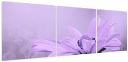 Mivali Tablou - Flori mov, din trei bucăți 150x50 cm (V023935V15050)