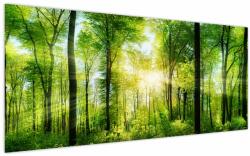 Mivali Tablou - Răsărit în pădure, dintr-o bucată 200x100 cm (V022345V200100)