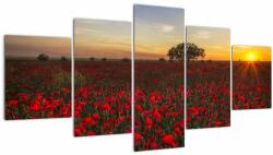 Mivali Tablou cu lunca și macii, din cinci bucăți 150x80 cm (V020551V150805PCS)