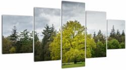 Mivali Tablou - Copac verde în câmp, din cinci bucăți 150x80 cm (V022540V150805PCS)