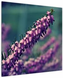 Mivali Tablou cu lavanda, dintr-o bucată 70x70 cm (V020539V7070)