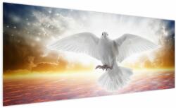 Mivali Tablou porumbiță, dintr-o bucată 250x125 cm (V022013V250125)