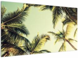 Mivali Tablou - Palmieri de cocos, dintr-o bucată 120x70 cm (V023328V12070)