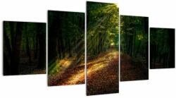 Mivali Tablou cu poteca prin pădure, din cinci bucăți 150x80 cm (V020253V150805PCS)