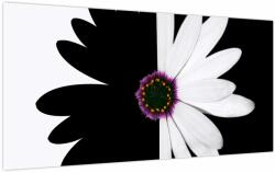 Mivali Tablou pe sticlă - Floare, alb- negru (V023685V10050GD)