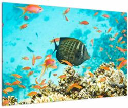 Mivali Tablou lumii submarine, dintr-o bucată 90x60 cm (V022109V9060)