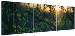 Mivali Tablou - Soarele strălucind printre crengile copacilor, din trei bucăți 150x50 cm (V022735V15050)