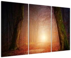 Mivali Tablou cu pădurea toamna în ceață, din trei bucăți 120x80 cm (V020013V120803PCS)