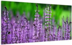 Mivali Tablou pe sticlă cu flori de luncă violete, dintr-o bucată 100x50 cm pe sticlă (V020193V10050GD)