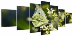 Mivali Tablou cu fluture, din șapte bucăți 210x100 cm (V021360V210100)