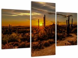 Mivali Tablou - Sfărșit de zi în deșertul Arizona, din trei bucăți 90x60 cm (V021638V90603PCS)