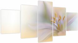 Mivali Tablou - Floare fragedă, din cinci bucăți 150x80 cm (V023954V150805PCS)