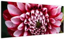 Mivali Tablou cu dalie roz, dintr-o bucată 100x40 cm (V021556V10040)