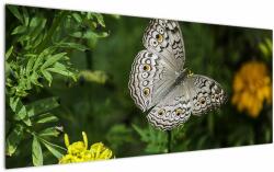 Mivali Tablou - fluture alb, dintr-o bucată 120x50 cm (V020576V12050)