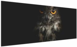 Mivali Tablou cu bufnița, dintr-o bucată 250x125 cm (V020966V250125)