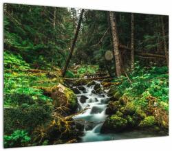 Mivali Tablou cu pârău în pădure, dintr-o bucată 70x50 cm (V021218V7050)