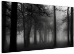 Mivali Tablou - Pădure în ceață, dintr-o bucată 120x70 cm (V023566V12070)