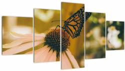 Mivali Tablou cu fluture pe floare, din cinci bucăți 150x80 cm (V021201V150805PCS)