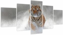Mivali Tablou cutigru fugind prin zăpadă (cu ceas), din cinci bucăți 150x80 cm cu ceas (V020719V15080C)