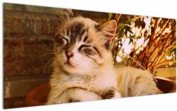 Mivali Tablou cu pisica în ghiveci, dintr-o bucată 120x50 cm (V021186V12050)