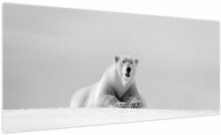 Mivali Tablou - Urs polar, alb-negru, dintr-o bucată 100x40 cm (V024131V10040)