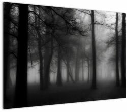 Mivali Tablou - Pădure în ceață, dintr-o bucată 100x70 cm (V023566V10070)