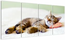 Mivali Tablou - Pisicuța adormită, din patru bucăți 160x80 cm (V023293V16080)