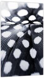 Mivali Tablou - Pană, dintr-o bucată 20x30 cm (V023864V2030)