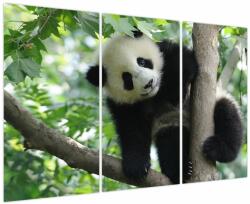 Mivali Tablou - Panda in copac, din trei bucăți 120x80 cm (V023757V120803PCS)
