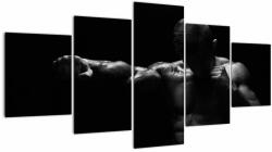 Mivali Tablou - Lovitura cu pumn, din cinci bucăți 150x80 cm (V022008V150805PCS)