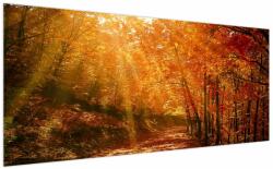 Mivali Tablou cu pădurea în toamnă, dintr-o bucată 200x100 cm (V021203V200100)