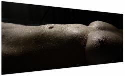 Mivali Tablou - Femeia, dintr-o bucată 250x125 cm (V023376V250125)