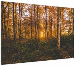 Mivali Tablou - Pădurea toamna, dintr-o bucată 100x70 cm (V022643V10070)