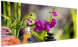Mivali Tablou - spa and stones, dintr-o bucată 250x125 cm (V020938V250125)