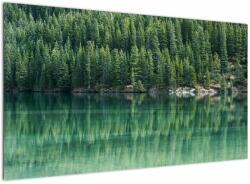 Mivali Tablou - Coniferi lângă lac, dintr-o bucată 120x70 cm (V021328V12070)