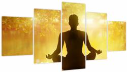 Mivali Tablou - meditare (V021741V150805PCS)