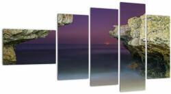 Mivali Tablou - recif de mare, din cinci bucăți 110x60 cm (V020160V11060)