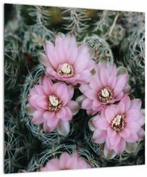 Mivali Tablou floare de cactus, dintr-o bucată 40x40 cm (V021594V4040)
