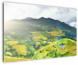 Mivali Tablou plantație, dintr-o bucată 120x80 cm (V020635V12080)
