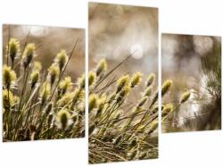 Mivali Tablou - Verde, din trei bucăți 90x60 cm (V023884V90603PCS)