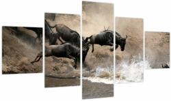 Mivali Tablou - Turmă de gnu, din cinci bucăți 125x70 cm (V023703V12570)