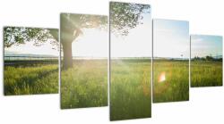 Mivali Tablou - Copac în câmp, din cinci bucăți 150x80 cm (V022542V150805PCS)