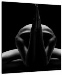 Mivali Tablou cu nud feminin, dintr-o bucată 40x40 cm (V020804V4040)