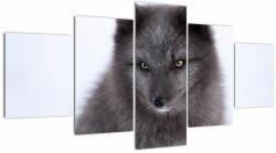 Mivali Tablou cu vulpe polară, din cinci bucăți 150x80 cm (V021000V150805PCS)