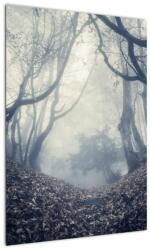 Mivali Tablou - Pădurea în ceață, dintr-o bucată 50x70 cm (V021991V5070)