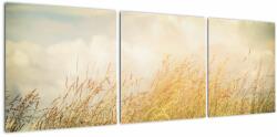 Mivali Tablou - Câmp toamna, din trei bucăți 120x40 cm (V022530V12040)