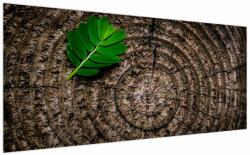 Mivali Tablou cu frunză pe trunchi de copac, dintr-o bucată 200x100 cm (V020813V200100)