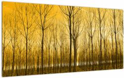 Mivali Tablou pe sticlă cu pădure în apus de soare, dintr-o bucată 100x50 cm pe sticlă (V020905V10050GD)