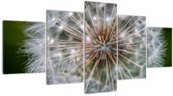 Mivali Tablou cu păpădie, din cinci bucăți 150x80 cm (V020954V150805PCS)