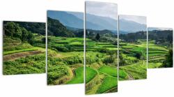 Mivali Tablou cu câmp de orez, din cinci bucăți 150x80 cm (V020271V150805PCS)